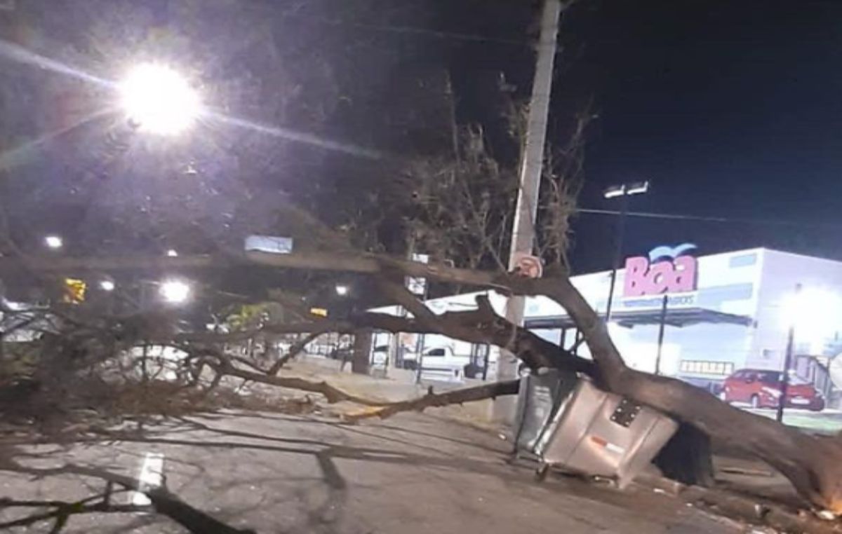 Chuva com muitos raios na noite de segunda para terça-feira assusta  moradores e derruba árvores